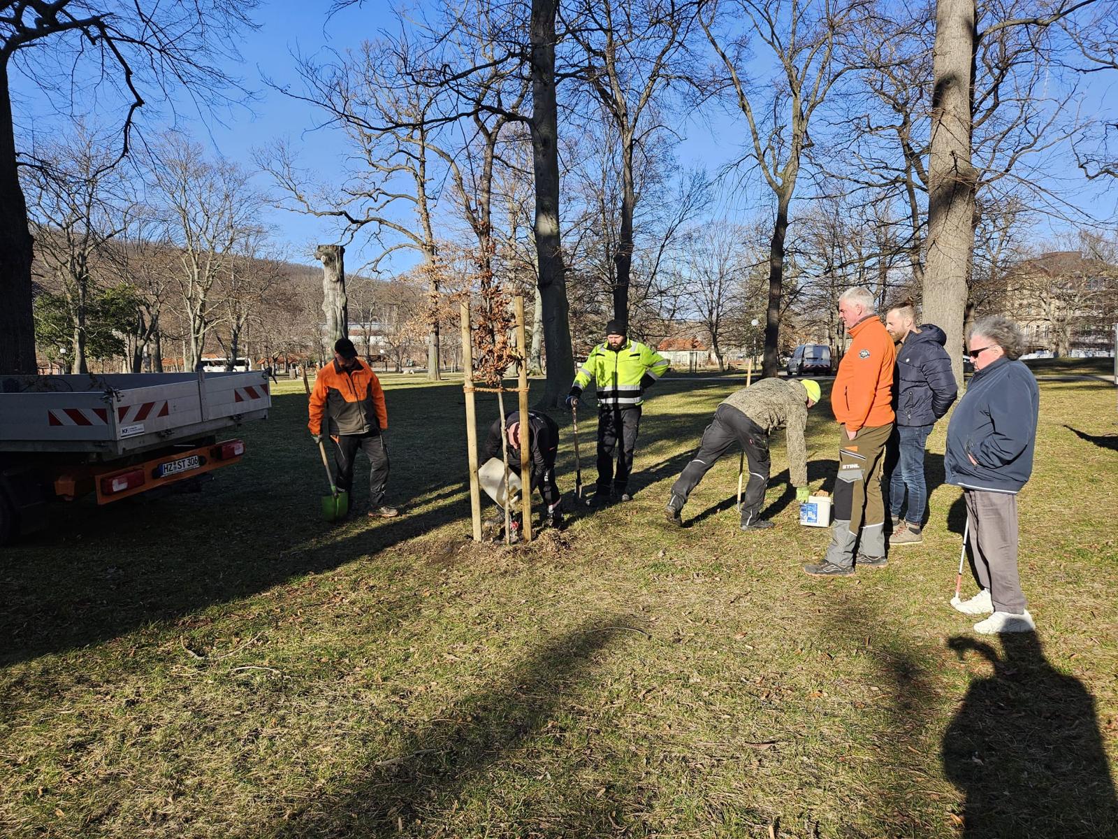 Baumpflanzung im Friedenspark Thale